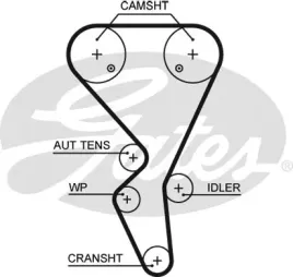 pasek-rozrzadu-gates-5581xs
