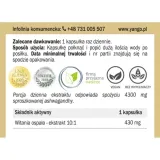 ashwagandha-ekstrakt-10-1-90-kaps-yango-waga-z-opakowaniem-0-18-kg