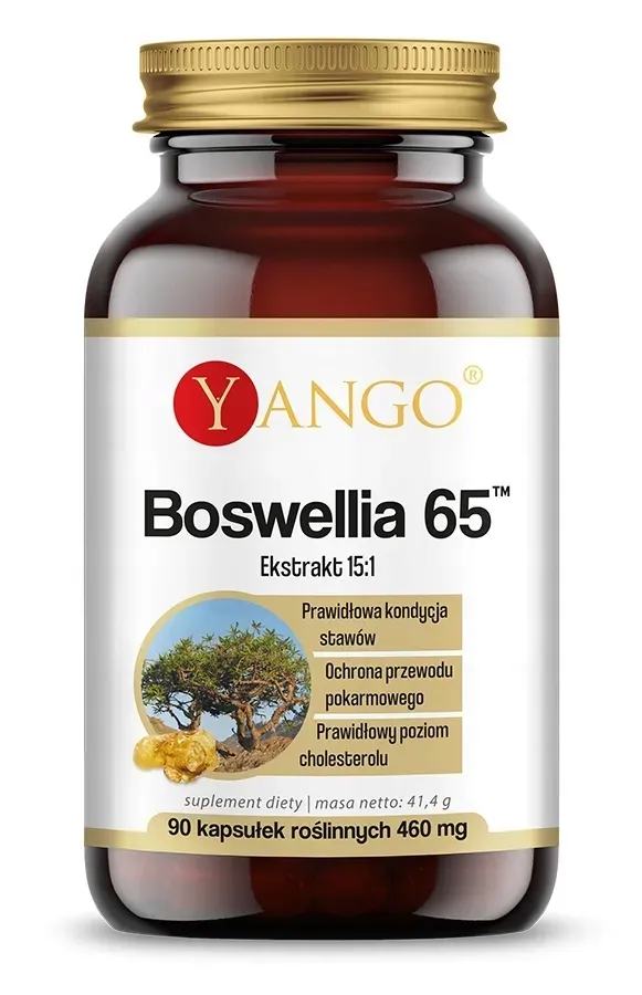 yango-boswellia-65-90-kaps