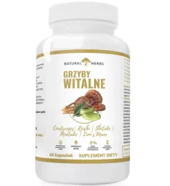altopharma-grzyby-witalne-cordyceps-reishi-shiitake-maitake-lions