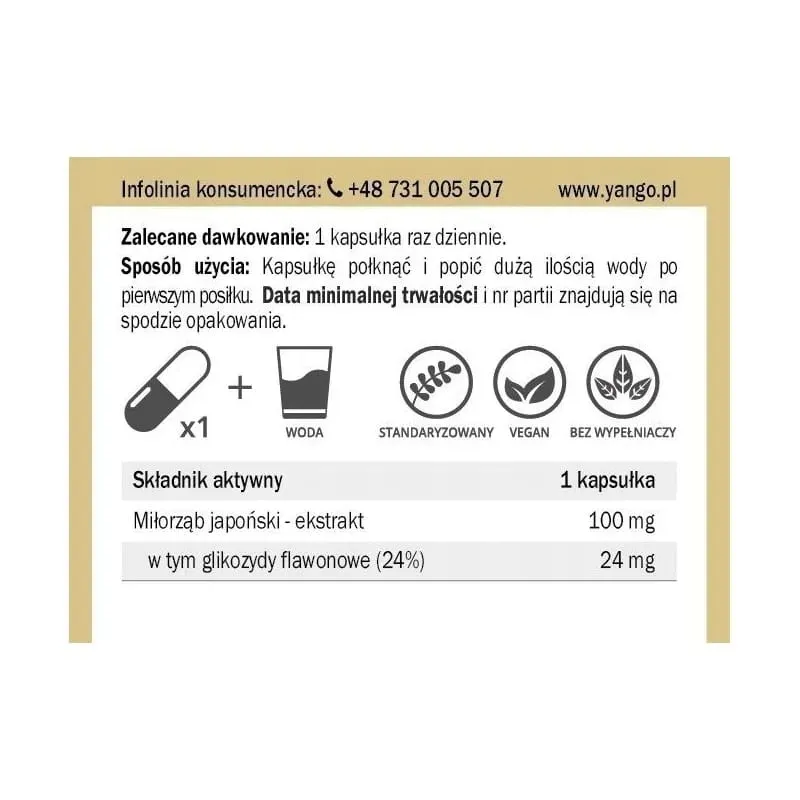 ginkgo-biloba-ekstrakt-90-kaps-yango