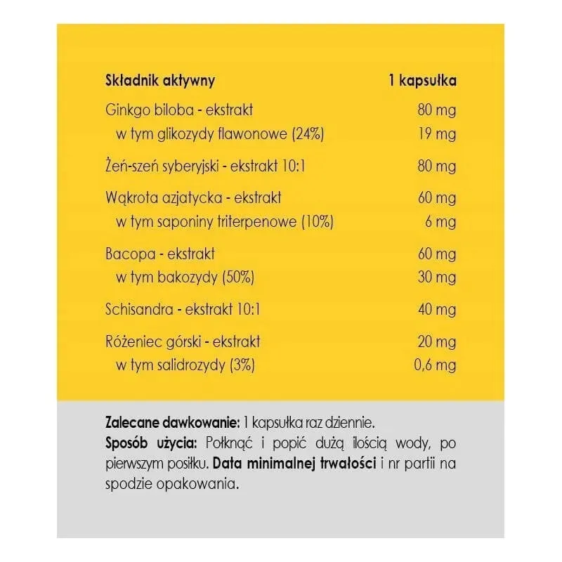 pamiec-bez-granic-50-kaps-panaseus