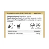 ocet-jablkowy-475-mg-90-kaps-yango-waga-z-opakowaniem-0-1-kg