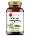 cissus-czworograniasty-yango-90-kaps