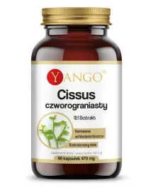 cissus-czworograniasty-yango-90-kaps
