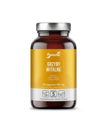 panaseus-grzyby-witalne-50-kapsulek-hericium-reishi-maitake-chaga