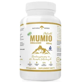 mumio-himalajskie-400mg-shilajit-extract-produkt