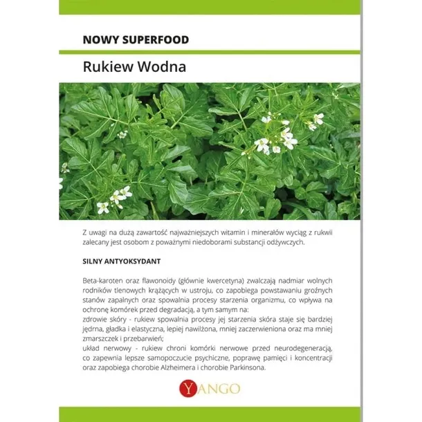 rukiew-wodna-90-kaps-yango-liczba-sztuk-90-szt