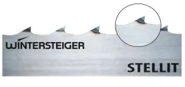 stelitowana-pila-do-traka-winterstiger-40x1-1x4800