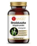 brodziuszka-yango-90-kaps
