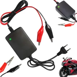 ladowarka-sieciowa-do-akumulatorow-zelowych-kompaktowa-automat-12v-20w-15a