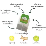herbata-ahmad-green-tea-pure-100tb-forma-ekspresowa