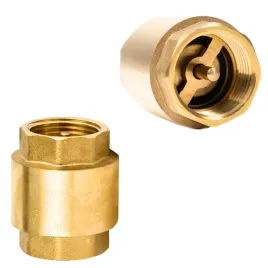 zawor-zwrotny-1-cala-kierunkowy-z-grzybkiem-trzpieniem-gruba-uszczelka