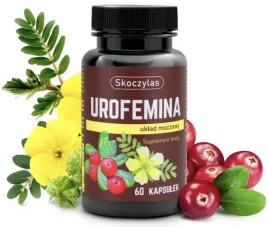 urofemina-uklad-moczowy-skoczylas