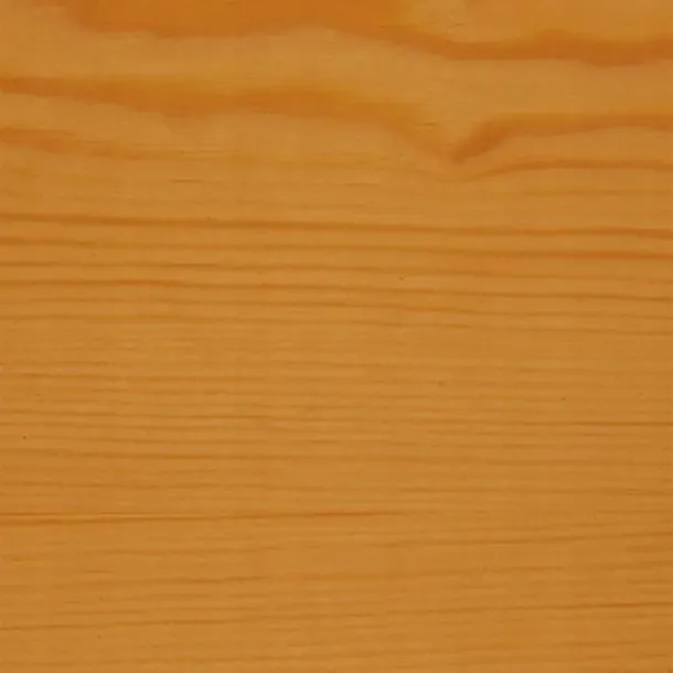 v33-impregnat-protect-dab-jasny-9l-przeznaczenie-do-drewna