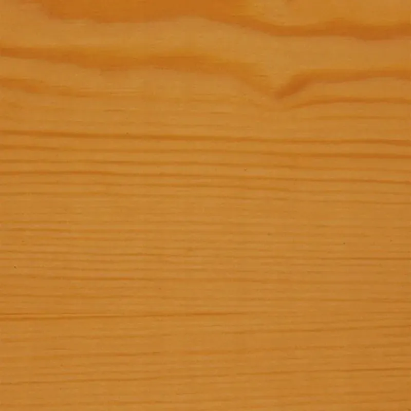 v33-impregnat-protect-dab-jasny-9l-stan-nowy