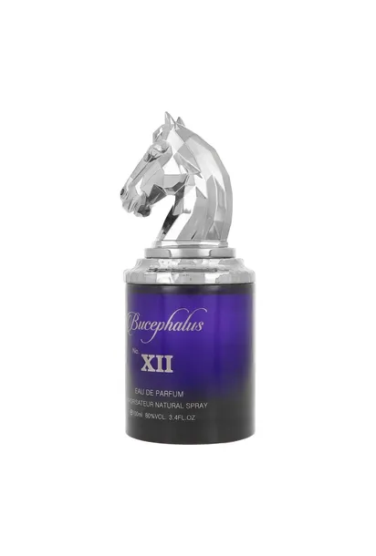 armaf-bucephalus-xii-edp-100ml-grupa-zapachowa-drzewna