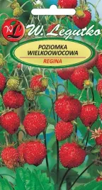 nasiona-poziomka-regina-owoce-czerwone-duze-01g