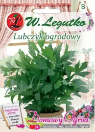 nasiona-lubczyk-ogrodowy-05g