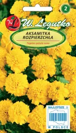 nasiona-aksamitka-rozpierzchla-zolta-1g