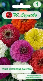 nasiona-cynia-wytworna-daliowa-mieszanka-15g