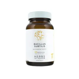 bacillus-subtilis-60-kap-wsparcie-mikroflory-jelitowej-10-mld-cfu-batat