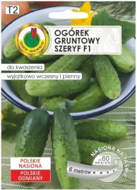 ogorek-hermes-skierniewicki-f1-na-tasmie-6m-wczesna-odmiana