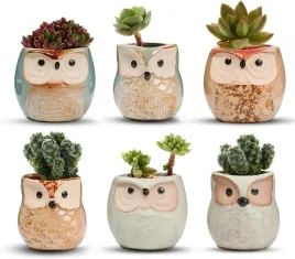 doniczki-ceramiczne-6-sztuk-otwor-drenazowy-ceramiczne-sowy-rozne-wzory