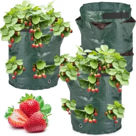3x-worki-na-uprawy-ziemniaki-pomidory-rozsady-warzywniak-wloknina-38l-duze
