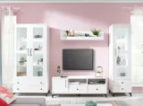 szafka-rtv-giza-8-kolor-frontow-bialy