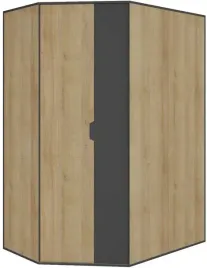 szafa-mlodziezowa-galon-1-dab-riviera-grafit