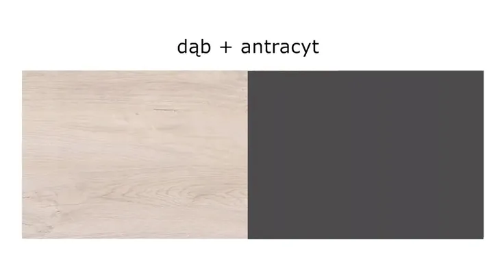 szafa-goda-1-kolor-mebla-dab-naturalny