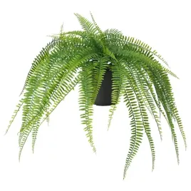 ikea-fejka-duza-przepiekna-sztuczna-paproc-paprotka-opadajaca-47cm