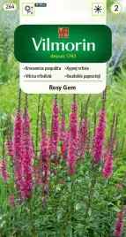 vilmorin-krwawica-pospolita-rosy-grm-wieloletnia-nasiona-kwiaty-lipiec-wrze