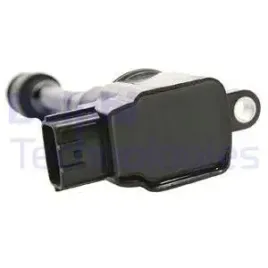 cewka-zaplonowa-delphi-gn10219-12b1