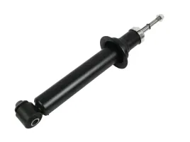 amortyzator-tyl-bmw-e60