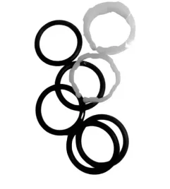 zestaw-uszczelek-do-wylewki-elastycznej-baterii-zumba-zorba-fitness-bza4