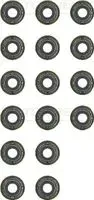 reinz-uszczelniacze-zaworowe-kpl-isuzu-trooper-00-98-opel-monterey-b-98-