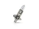 philips-zarowka-12v-h1-55w-vision-rodzaj-tradycyjne-halogenowe