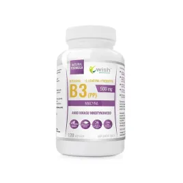 b3-500mg-niacyna-pp-120-kapsulek