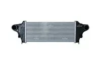 nrf-chlodnica-intercooler-mercedes-gl-x164-m-w164-r-w251-v251-3-0d-05-