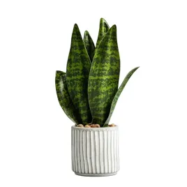 roslina-sztuczna-sanseviera-homla-20-cm