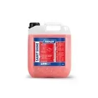 tenzi-sanit-shine-5l