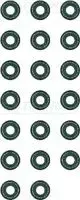 reinz-uszczelniacze-zaworowe-kpl-volvo-s60-i-00-s70-96-v70-i-95-