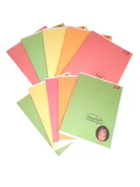 10-x-zeszyt-szkolny-w-kratke-a5-16-kartek-woodland-animals-9874