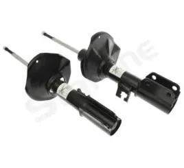 starline-amortyzator-s-tl-c00295-6