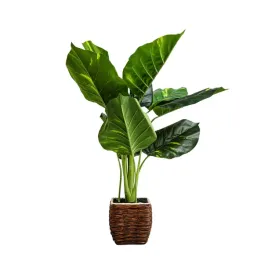 roslina-sztuczna-strelicja-homla-60cm