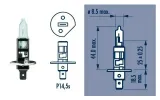 narva-zarowka-12v-h1-100w-p14-5s-rallye-moc-100-w