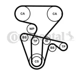 contitech-zestaw-rozrzadu-ct877k5pro