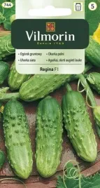 vilmorin-ogorek-regina-f1-5g-nasiona-do-uprawy-wczesne-i-plenne-owoce